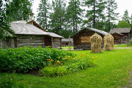 Farm lawn house home Photo