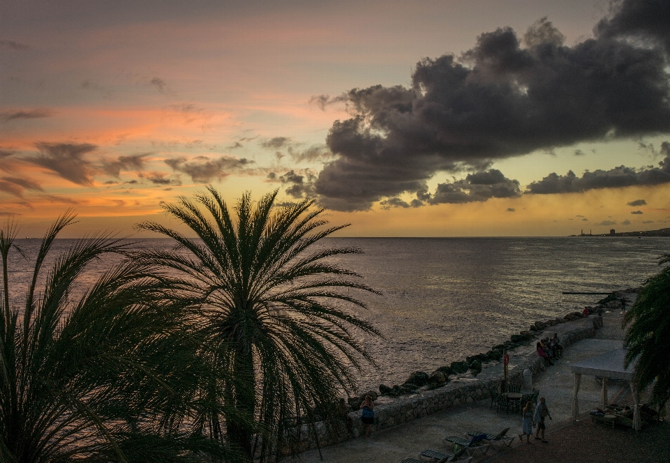 Plage paysage mer côte