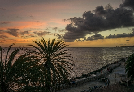 Beach landscape sea coast Photo