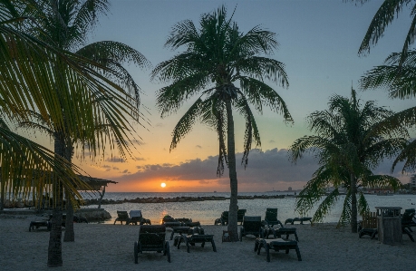 Beach landscape sea coast Photo