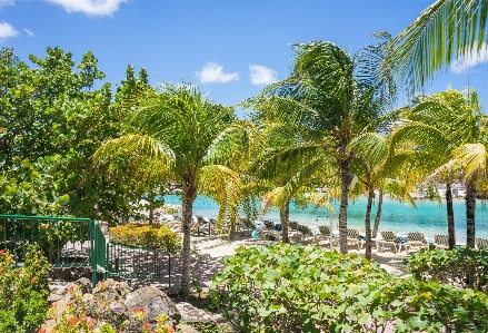 Beach landscape sea water Photo