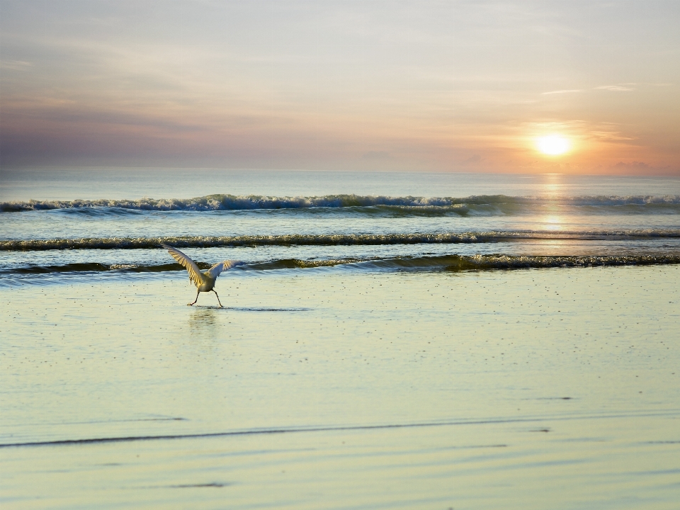 Plaża morze wybrzeże woda