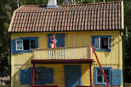 Wood play house roof Photo