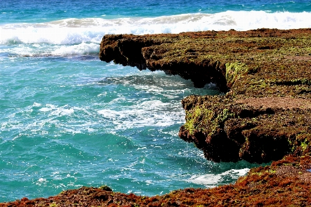 Beach landscape sea coast Photo