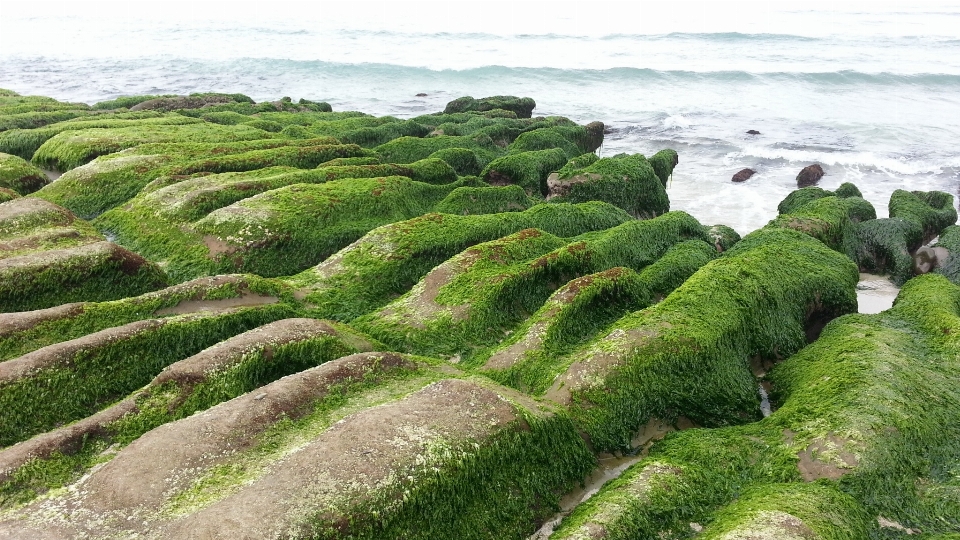 Costa campo suelo terreno