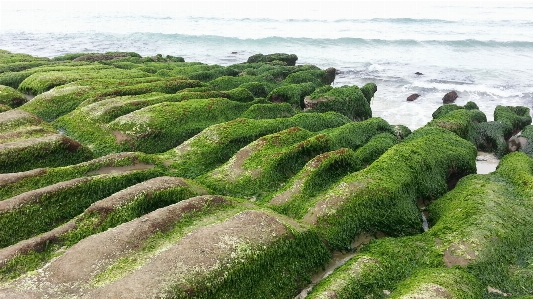 海岸 分野 土壌 地形 写真