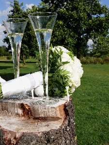 Tree grass blossom structure Photo