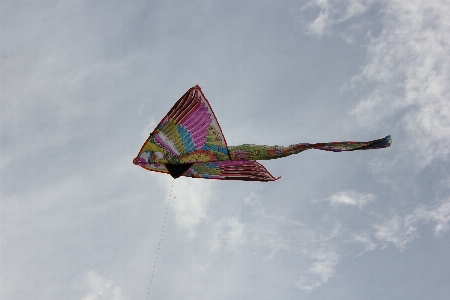 Wing sky wind kite Photo