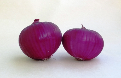 Plant fruit flower purple Photo