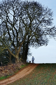 Foto Homem paisagem árvore natureza