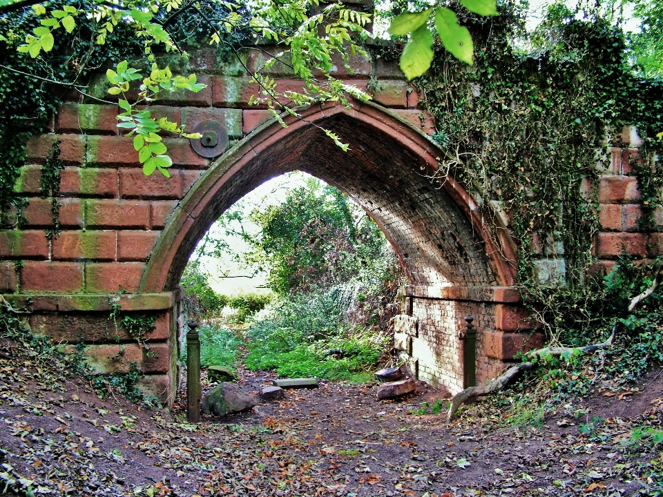 树 建筑学 木头 追踪