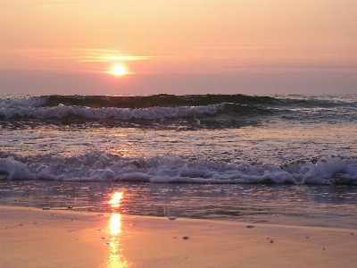 Beach sea coast sand Photo