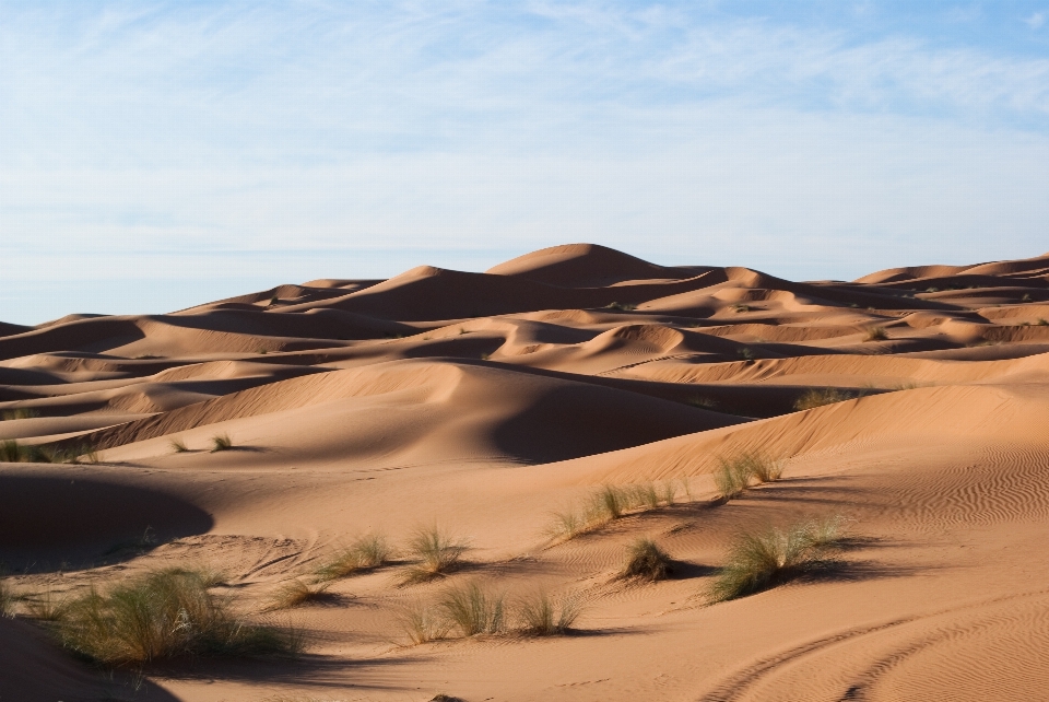 Paisagem areia deserto duna
