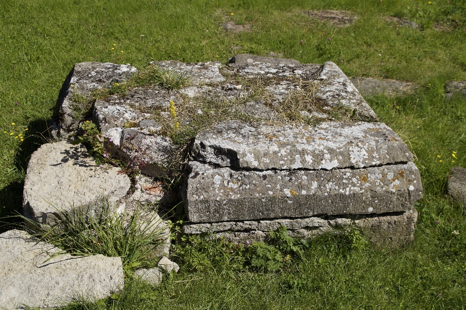 çimen rock çim eskimiş