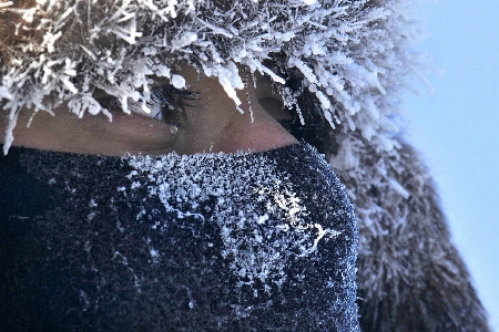 Tree person snow cold Photo