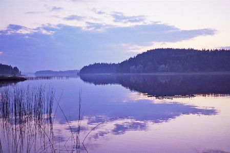 Landscape water nature marsh Photo