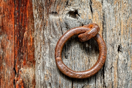 Wood ring number old Photo