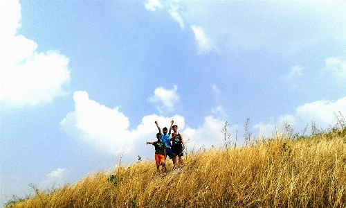 Nature grass cloud sky Photo