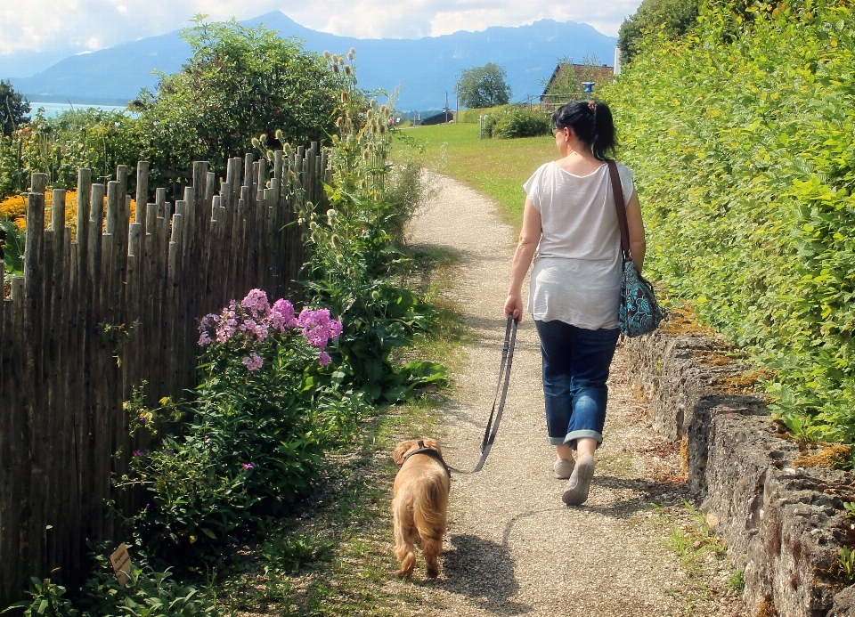 Nature walking person woman