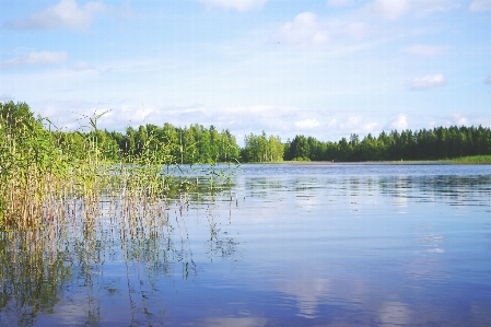 Landscape tree water nature Photo