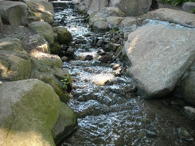 Water rock wilderness river Photo