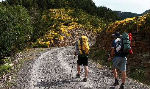 Walking mountain hiking trail Photo