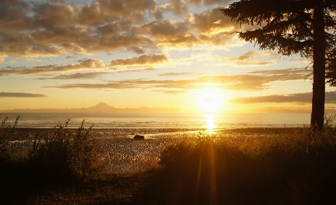 Beach landscape sea coast Photo