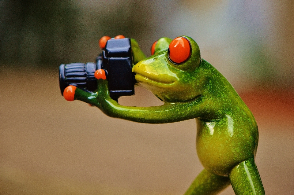 Telecamera fotografo animale verde