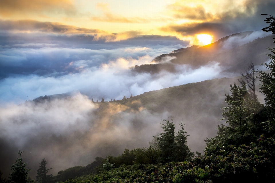 風景 自然 森 山