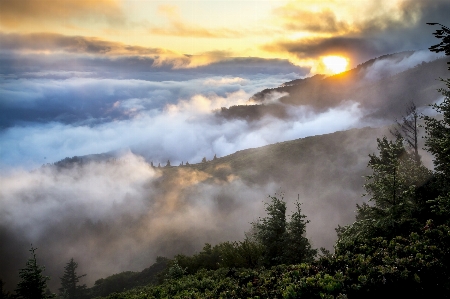 Landscape nature forest mountain Photo