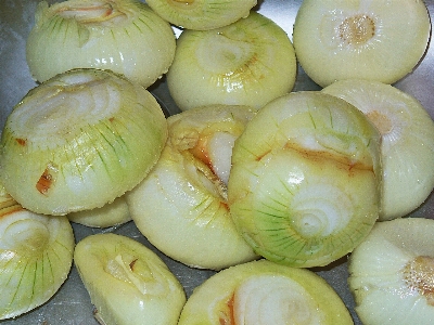 Nature plant dish food Photo