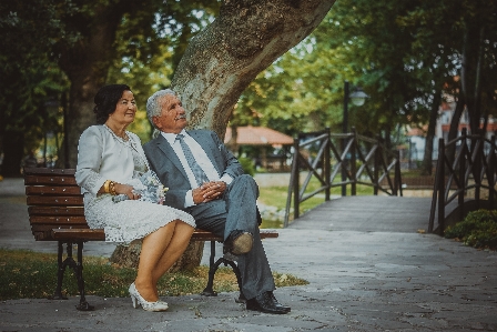 Zdjęcie Plaża krajobraz drzewo las