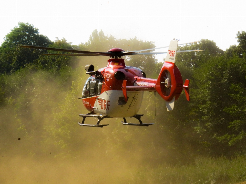 Fliege flugzeug fahrzeug luftfahrt