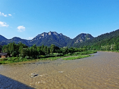 Landscape tree water nature Photo