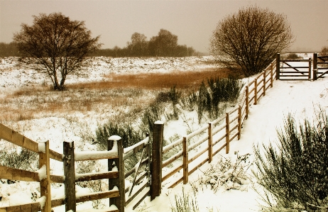 Landscape tree nature outdoor Photo