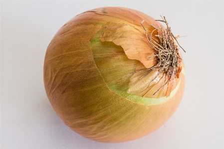 Plant fruit flower food Photo