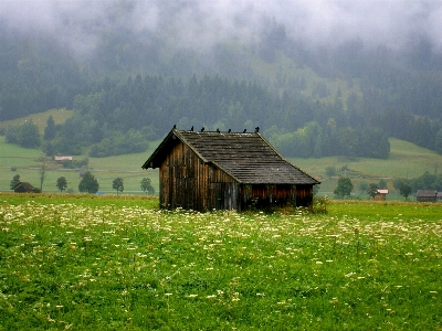 Landscape nature grass mountain Photo