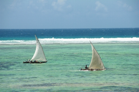 Beach sea coast water Photo