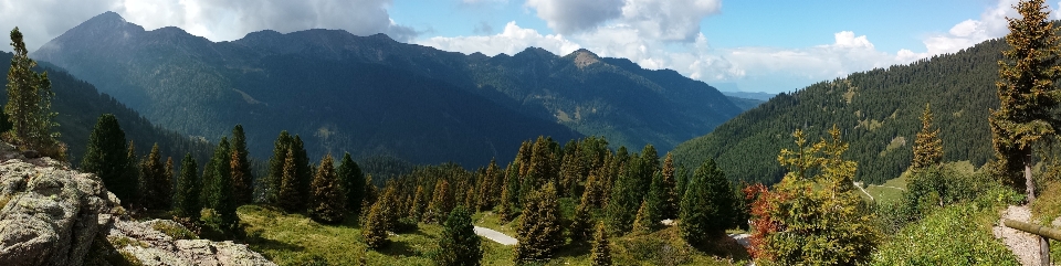 景观 森林 荒野 山