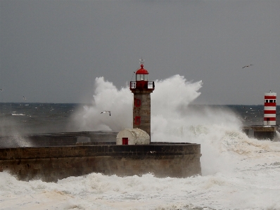 Sea coast ocean lighthouse Photo