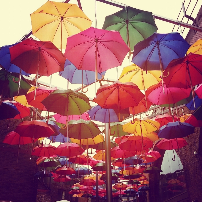 Rain flower petal umbrella