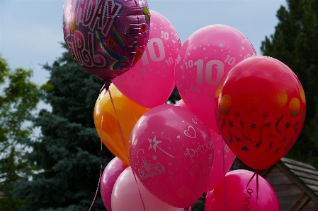 Foto Bunga balon merah jambu