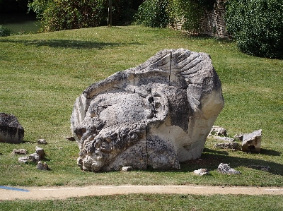 Foto França estátua jardim zoológico catedral