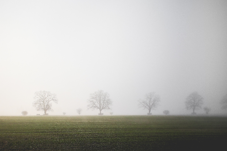 Landscape creative black and white fog