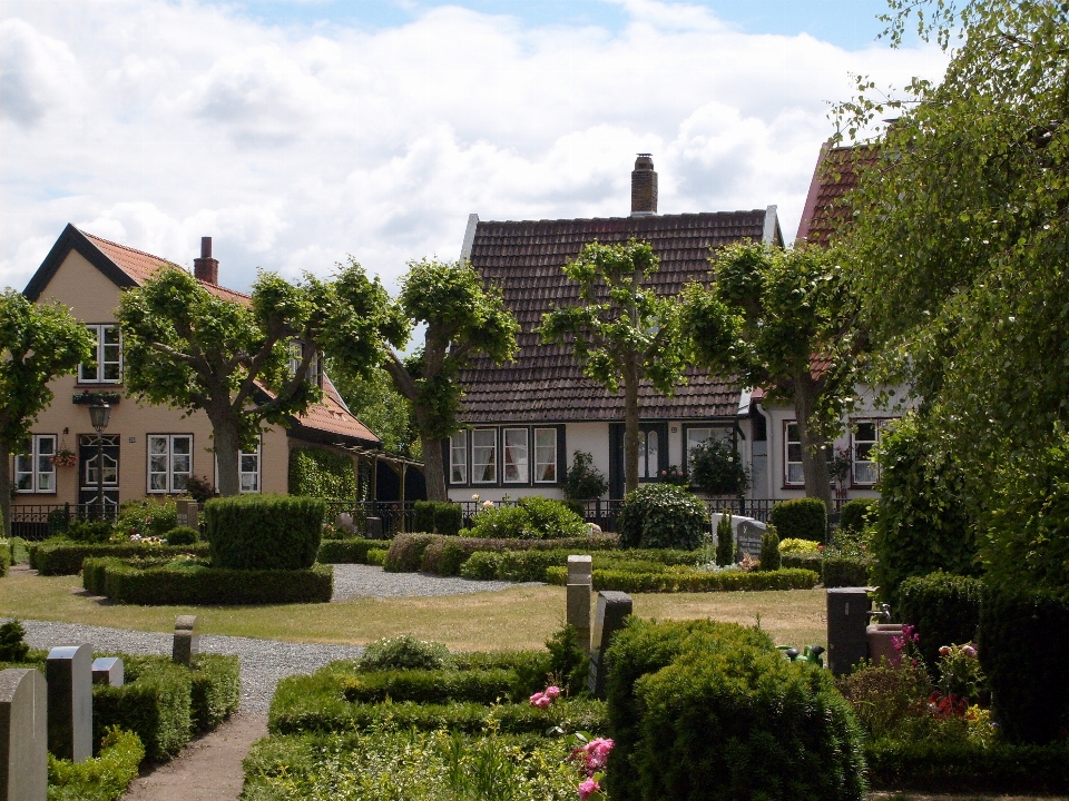 Halaman rumput rumah besar
 bangunan