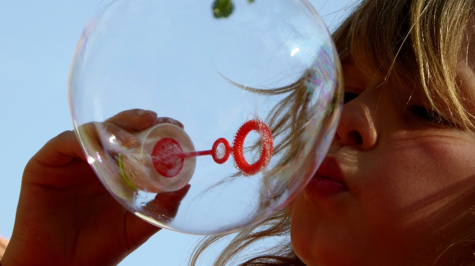 Blume glas fliege essen