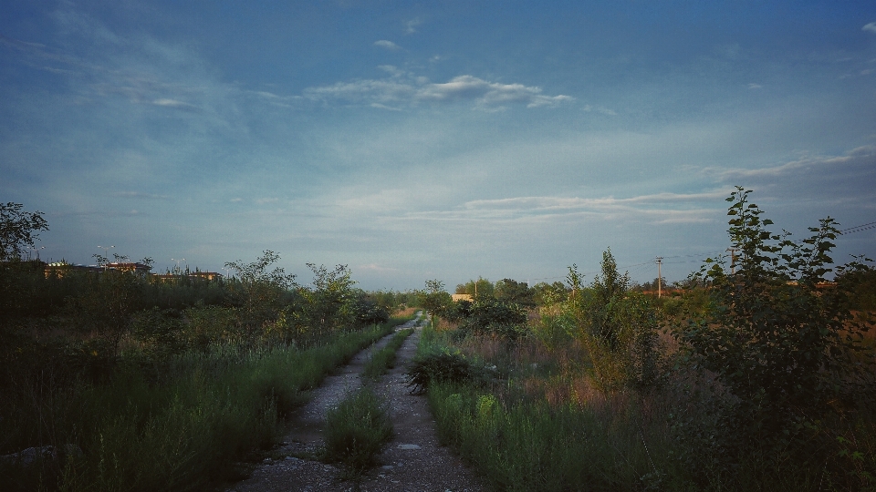 Man landscape tree nature