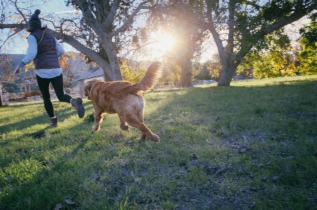 Nature outdoor person people Photo