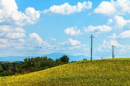 Landscape nature grass horizon Photo