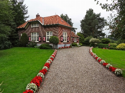 Grass architecture farm lawn Photo